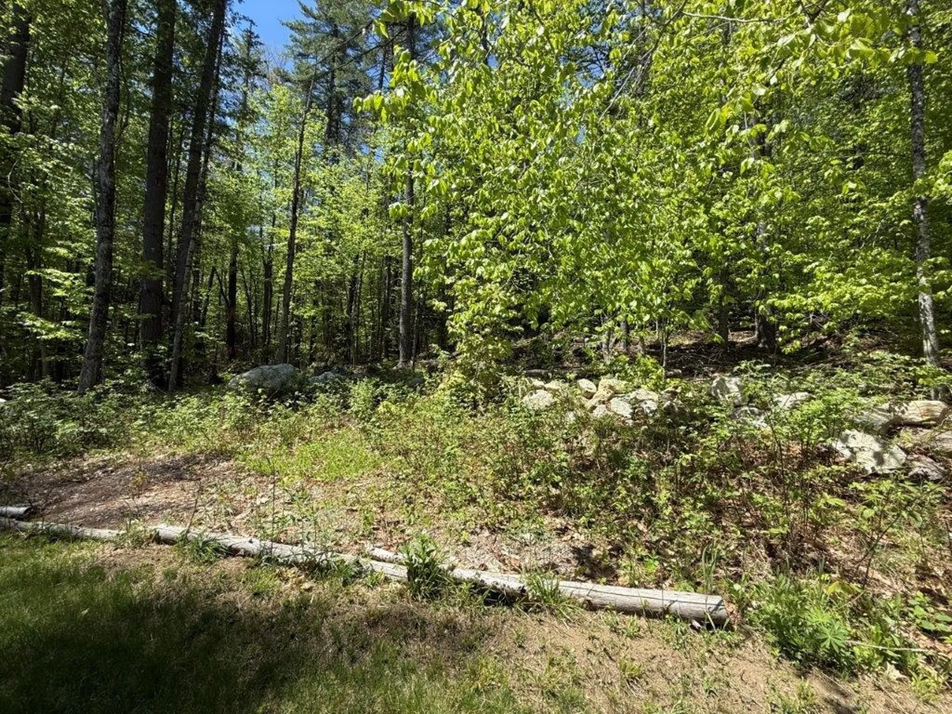 38 Northwood Estates Drive Grafton NH 03240