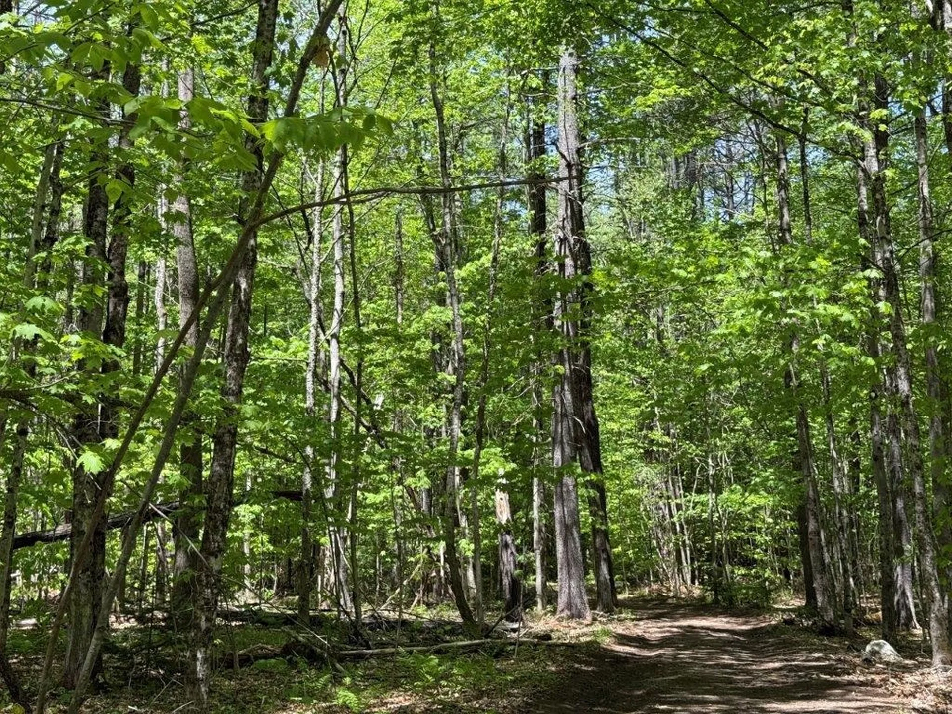 38 Northwood Estates Drive Grafton NH 03240