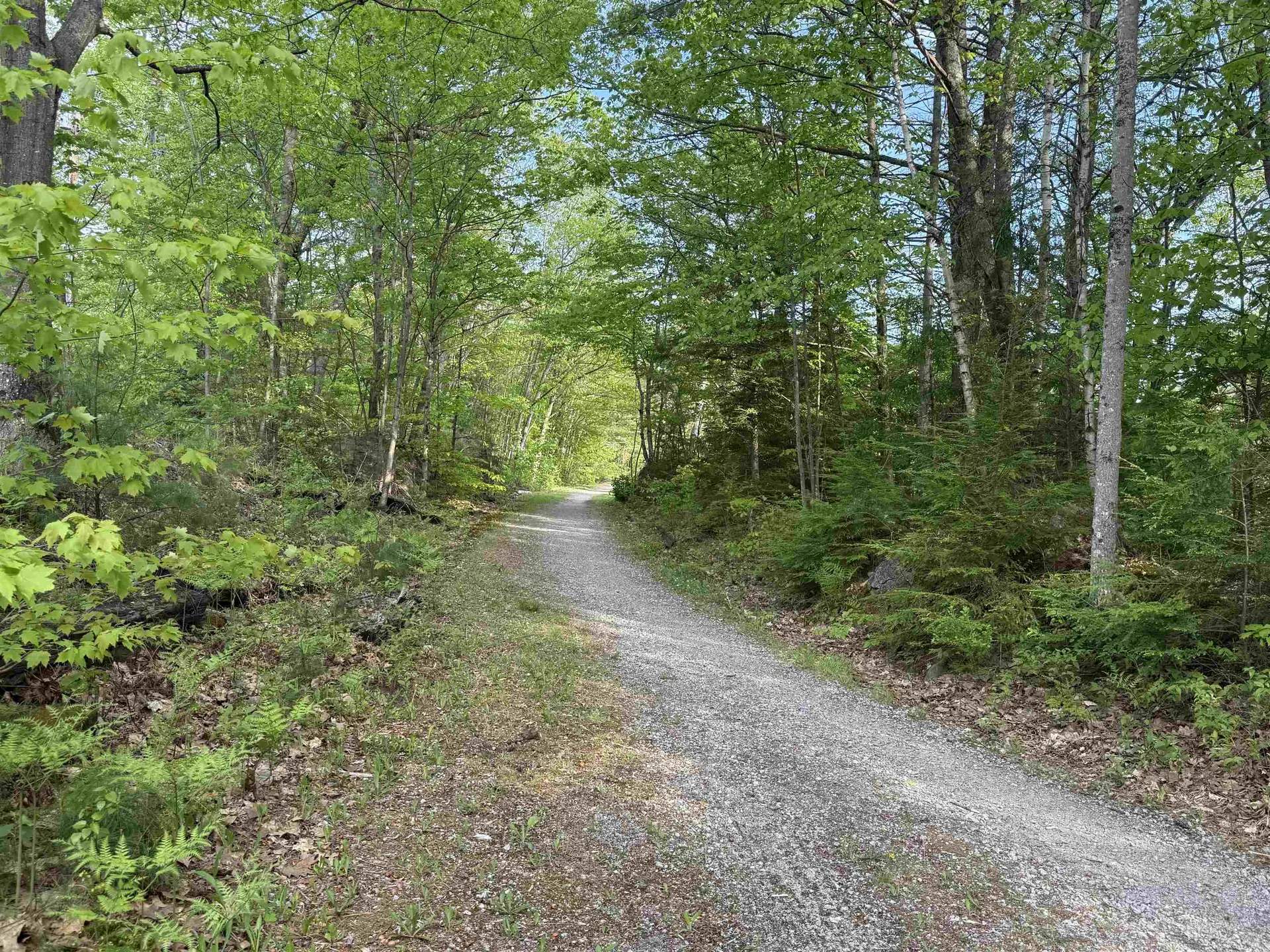 38 Northwood Estates Drive Grafton NH 03240