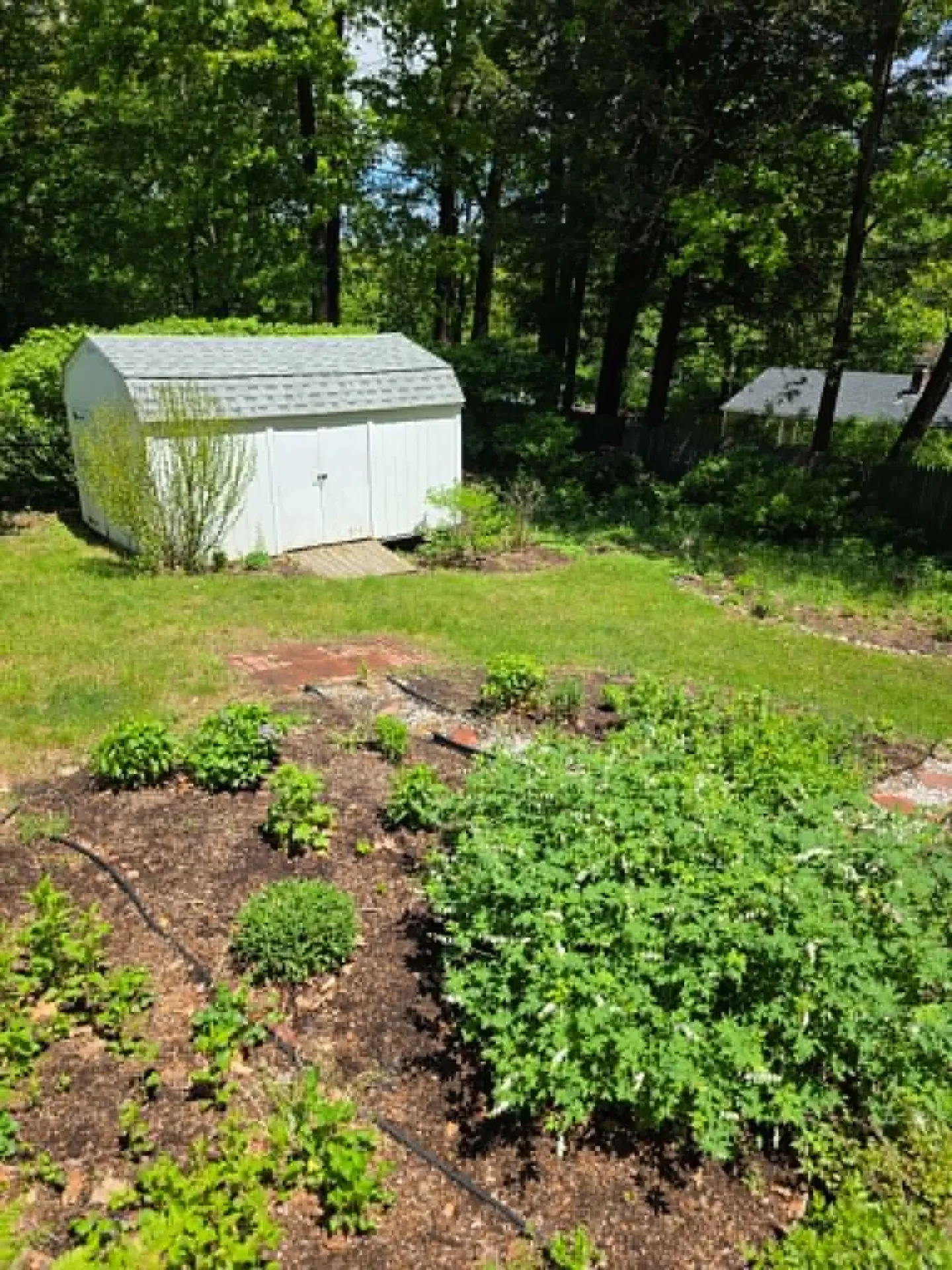 184 Carriage Hill Road Brattleboro VT 05301