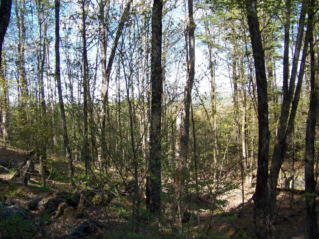 324 Sunrise Road Bethel VT 05032