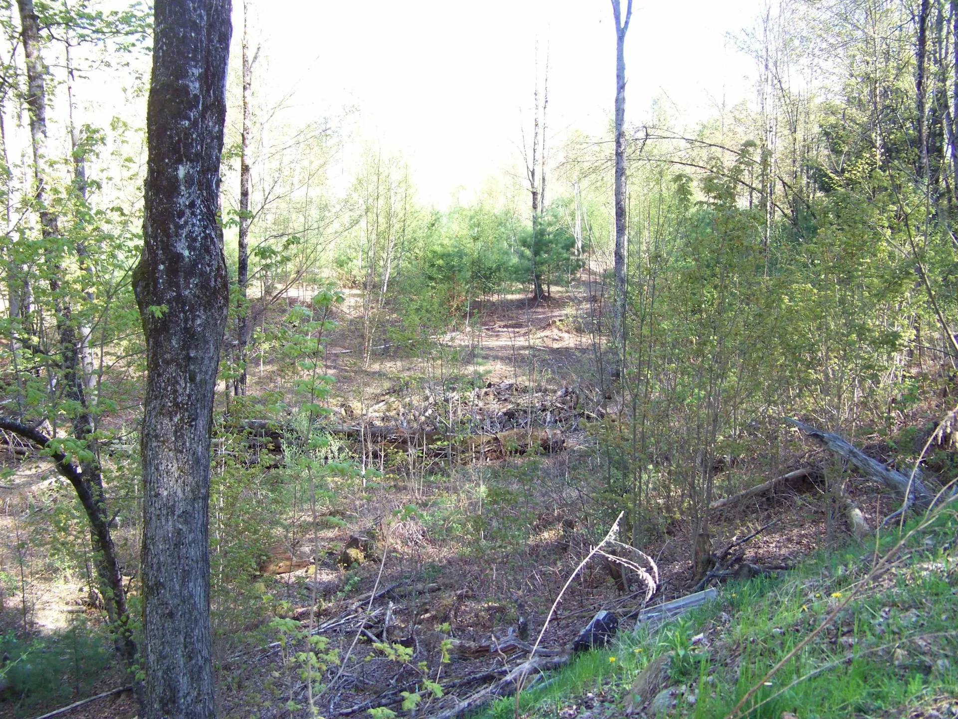 324 Sunrise Road Bethel VT 05032