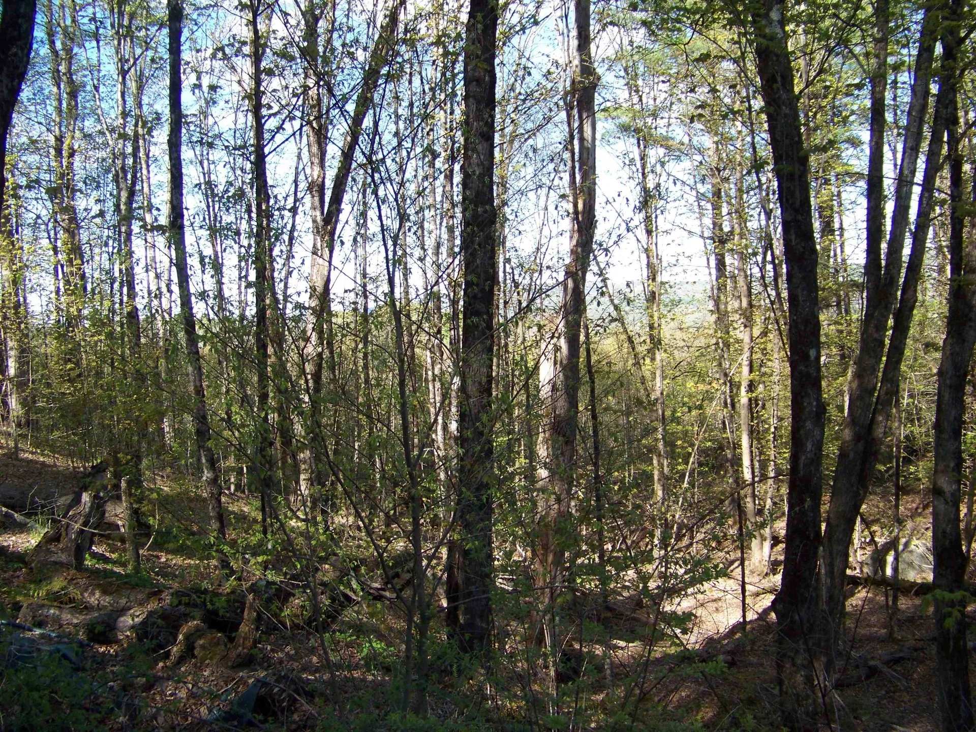 324 Sunrise Road Bethel VT 05032