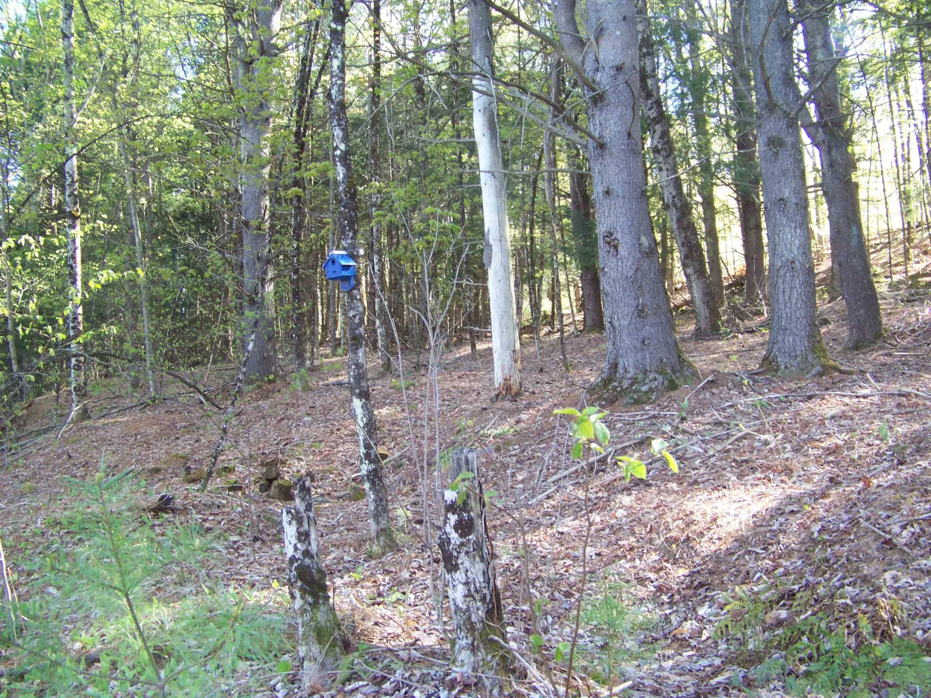 324 Sunrise Road Bethel VT 05032