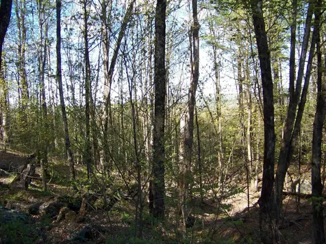 324 Sunrise Road Bethel VT 05032