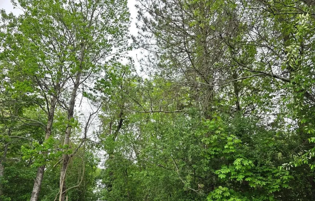 6 L Matthew Drive Derry NH 03038
