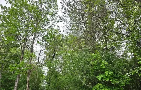 6 L Matthew Drive Derry NH 03038