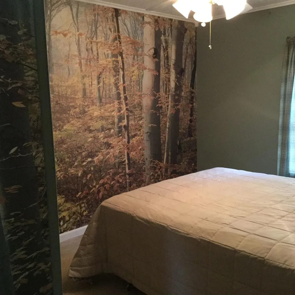 3335 West Lake Road Wells VT 05774