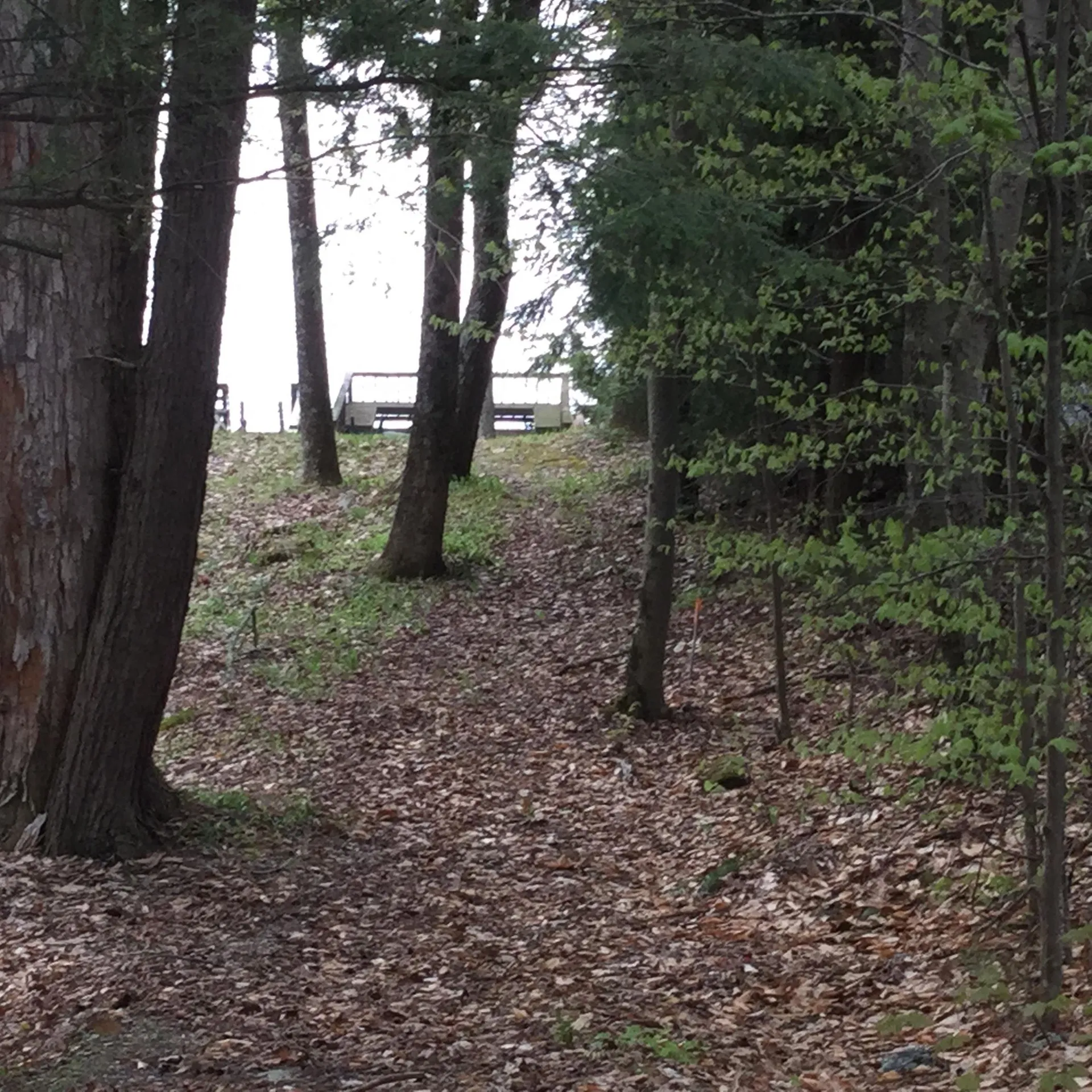 3335 West Lake Road Wells VT 05774