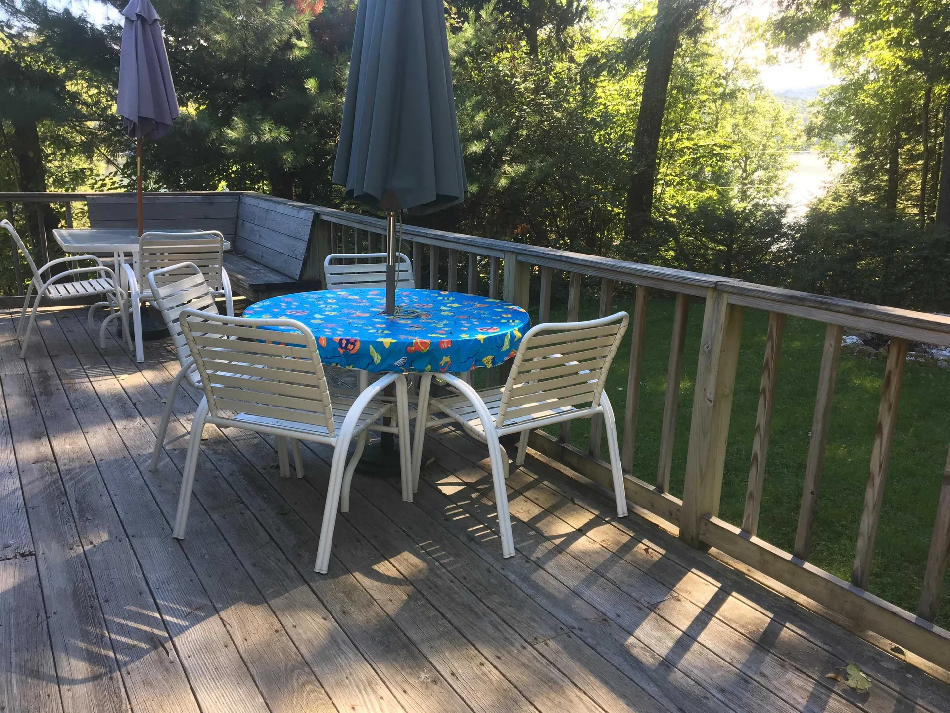 3335 West Lake Road Wells VT 05774