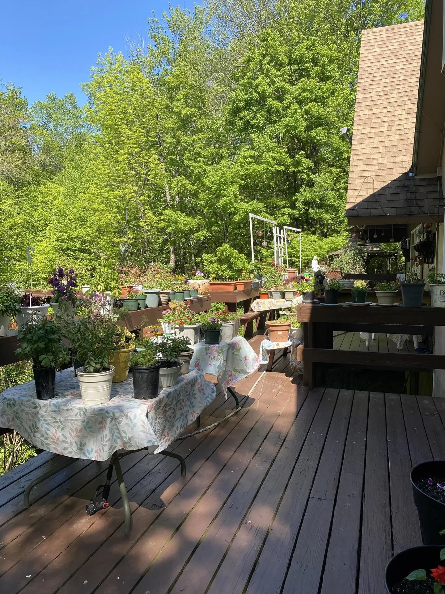985 Chapel Hill Road Whitingham VT 05361