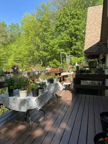 985 Chapel Hill Road Whitingham VT 05361