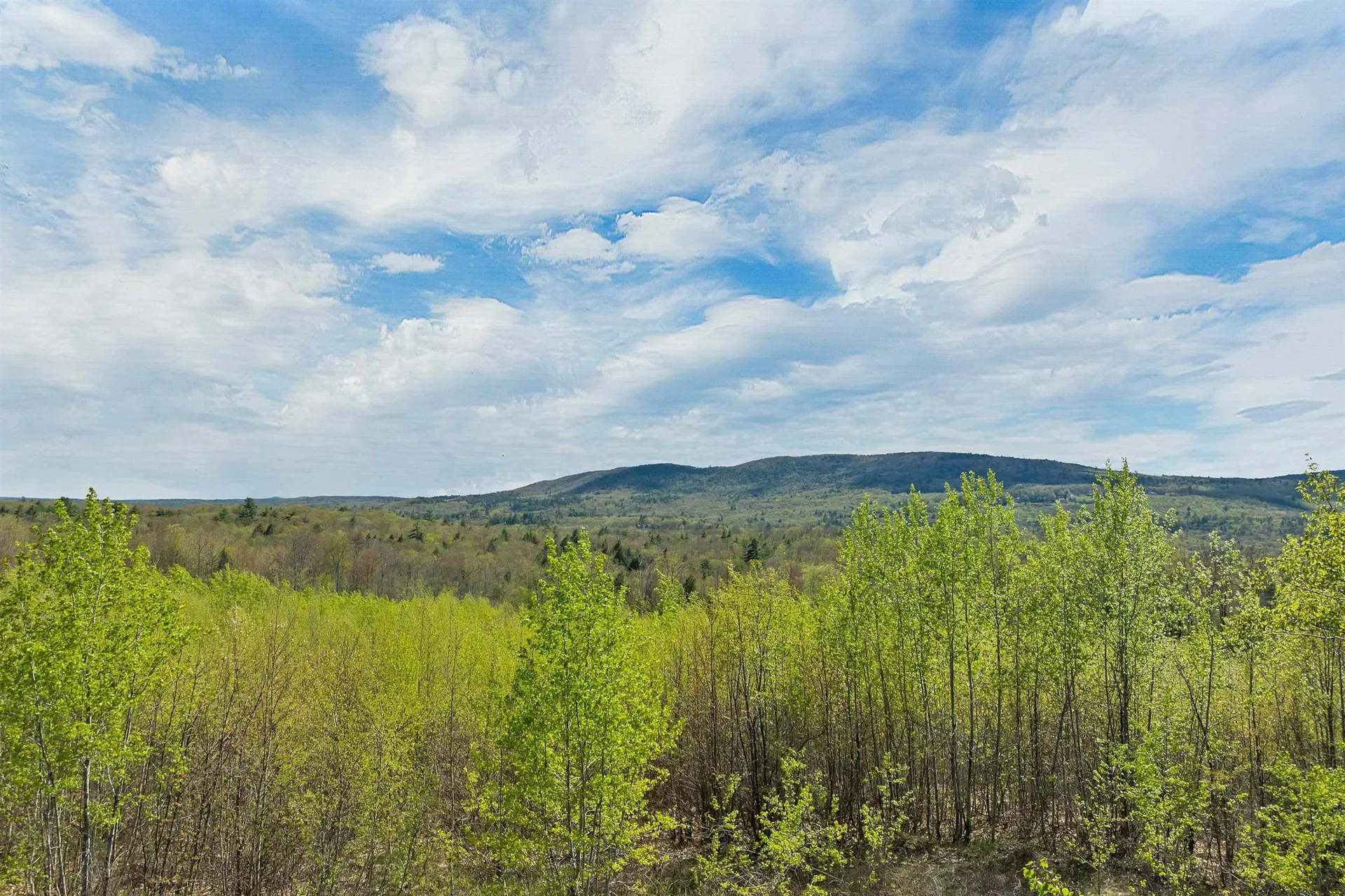 37 Bowman Road Alton NH 03809