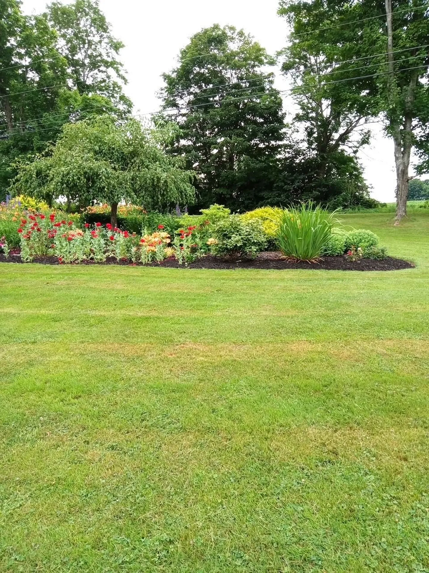938 Stevens Road Barton VT 05822