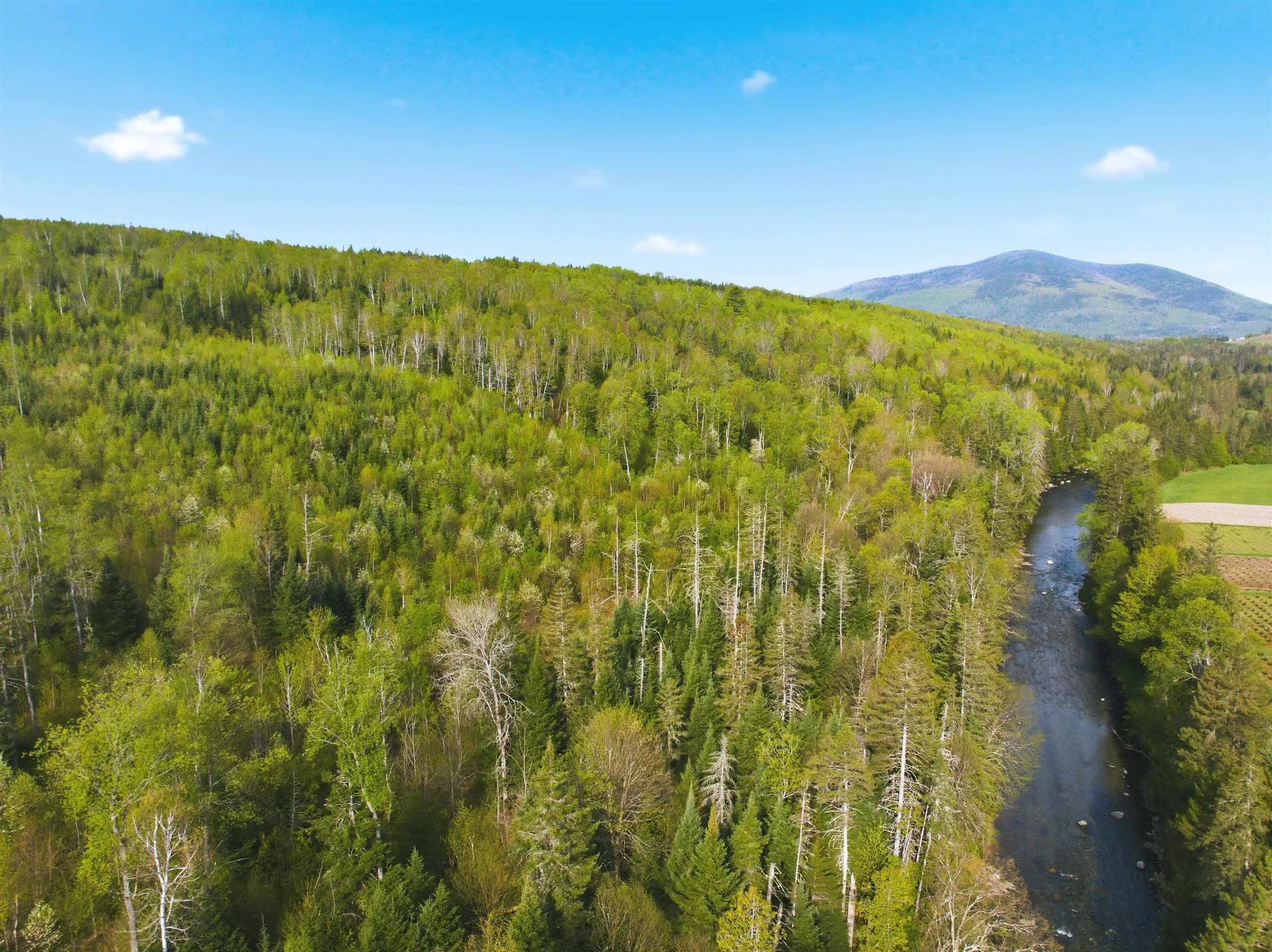 Tbd Carleton Hill Road Colebrook NH 03576