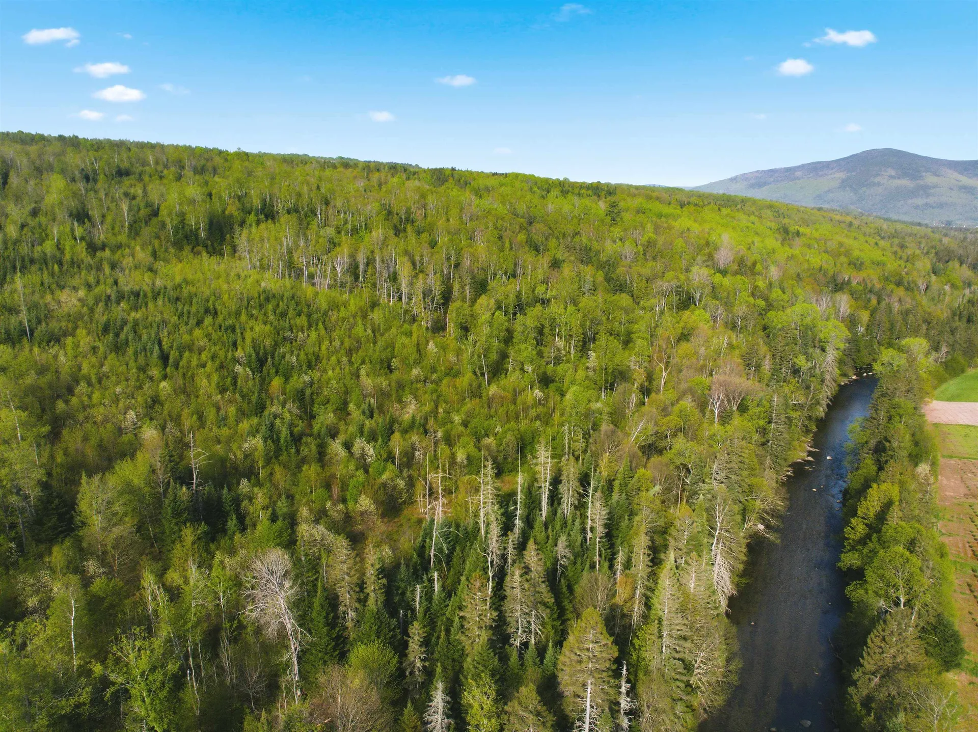 Tbd Carleton Hill Road Colebrook NH 03576