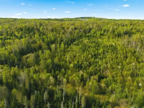 Tbd Carleton Hill Road Colebrook NH 03576