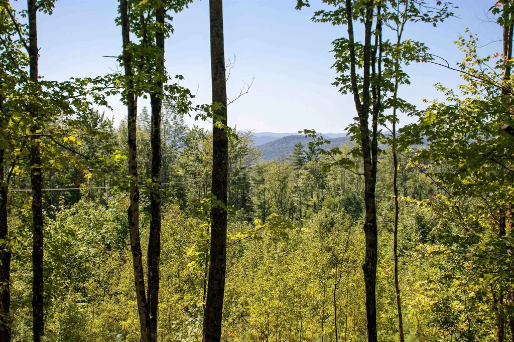 1201 Shadow Lake Road Waterford VT 05819