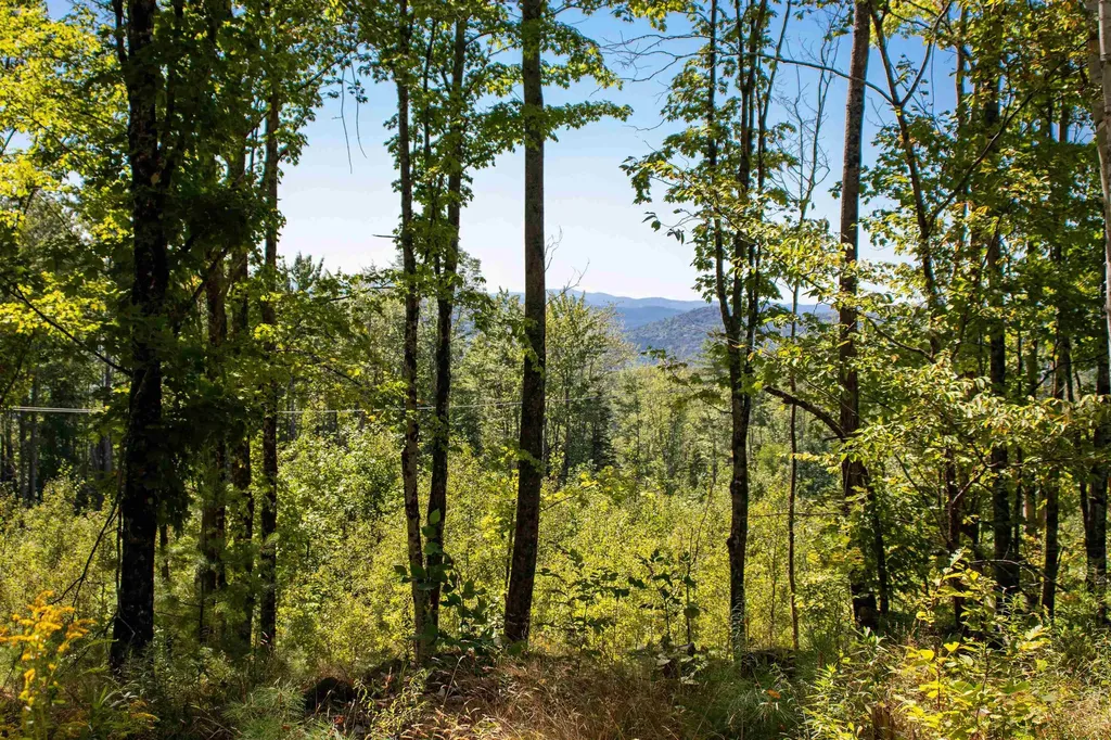1201 Shadow Lake Road Waterford VT 05819