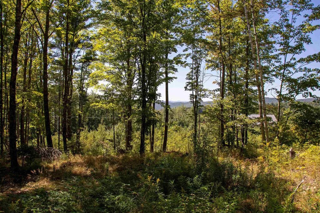 1201 Shadow Lake Road Waterford VT 05819