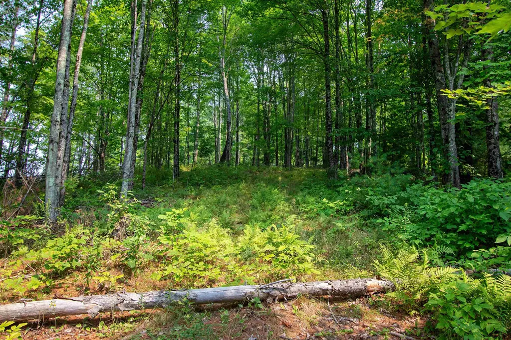1201 Shadow Lake Road Waterford VT 05819