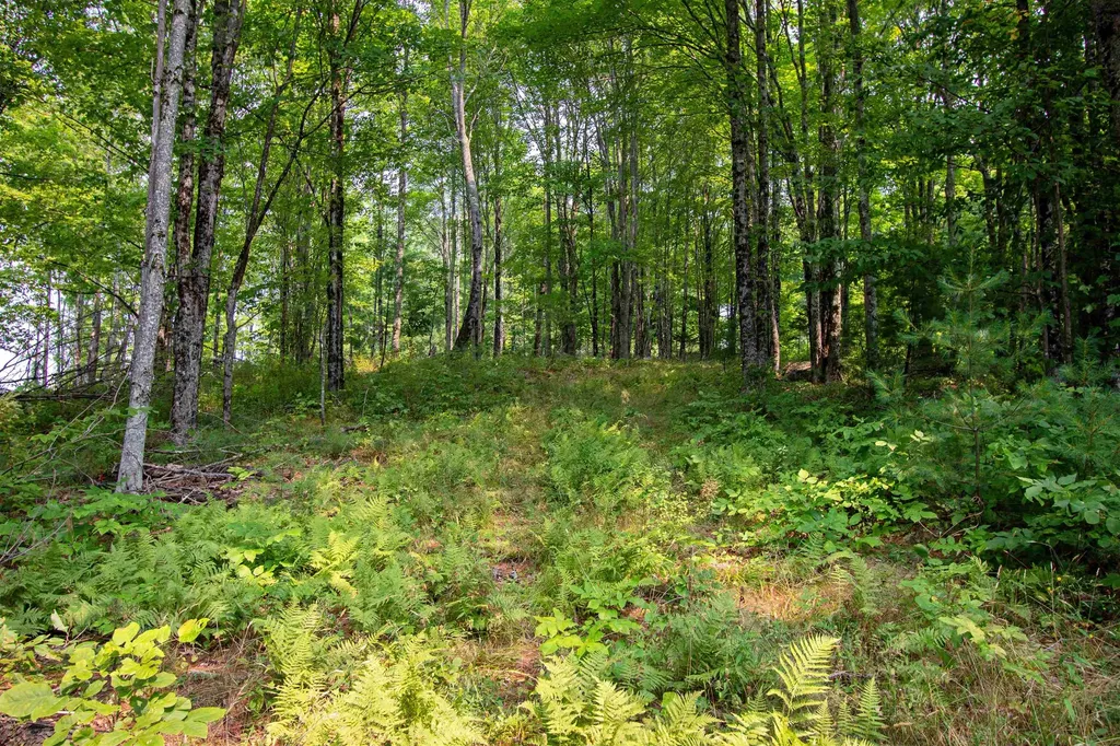 1201 Shadow Lake Road Waterford VT 05819