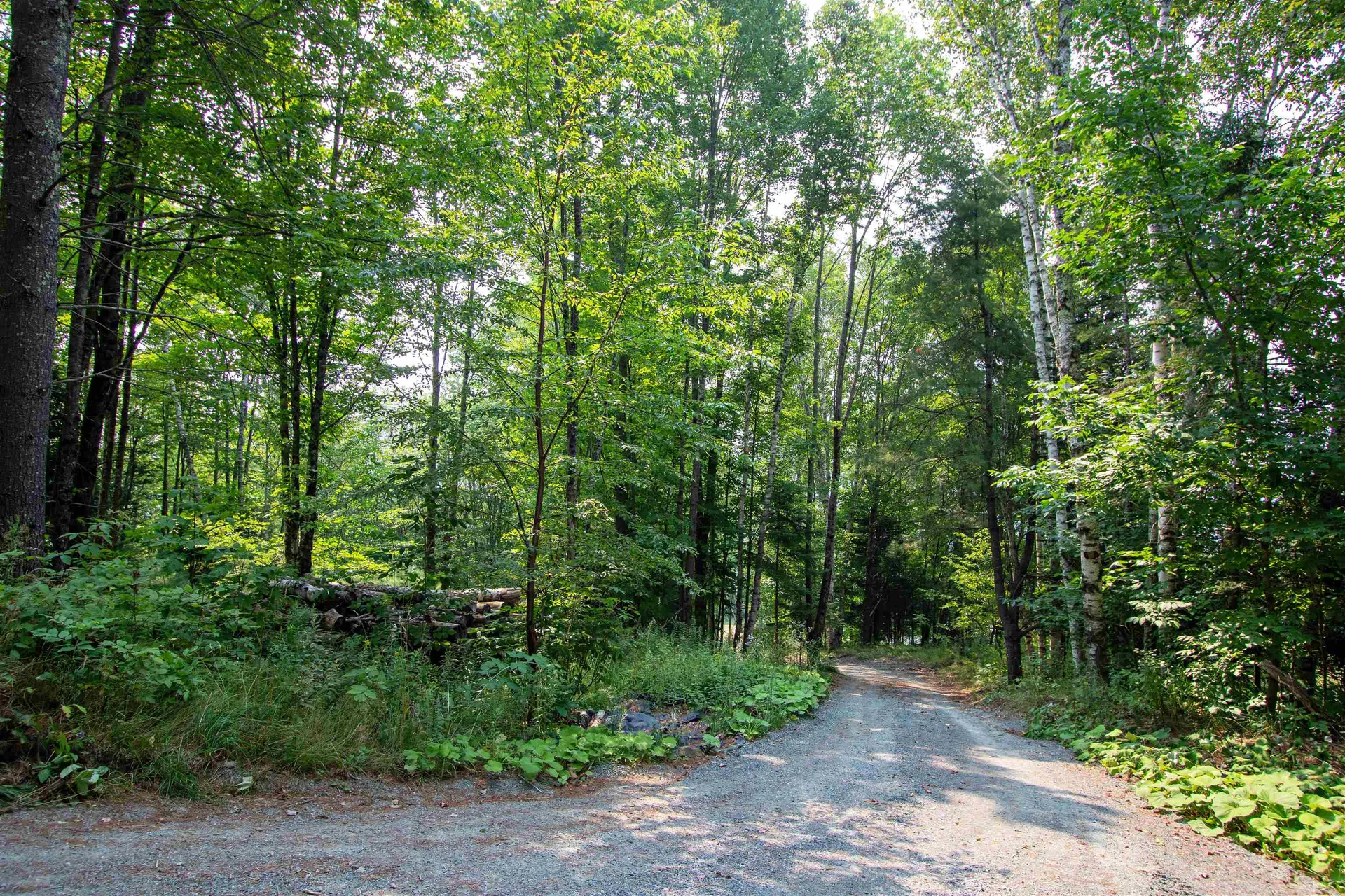 1201 Shadow Lake Road Waterford VT 05819