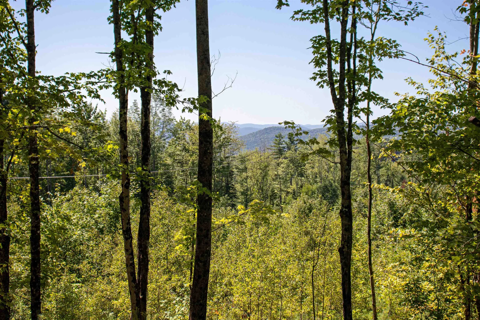 1201 Shadow Lake Road Waterford VT 05819