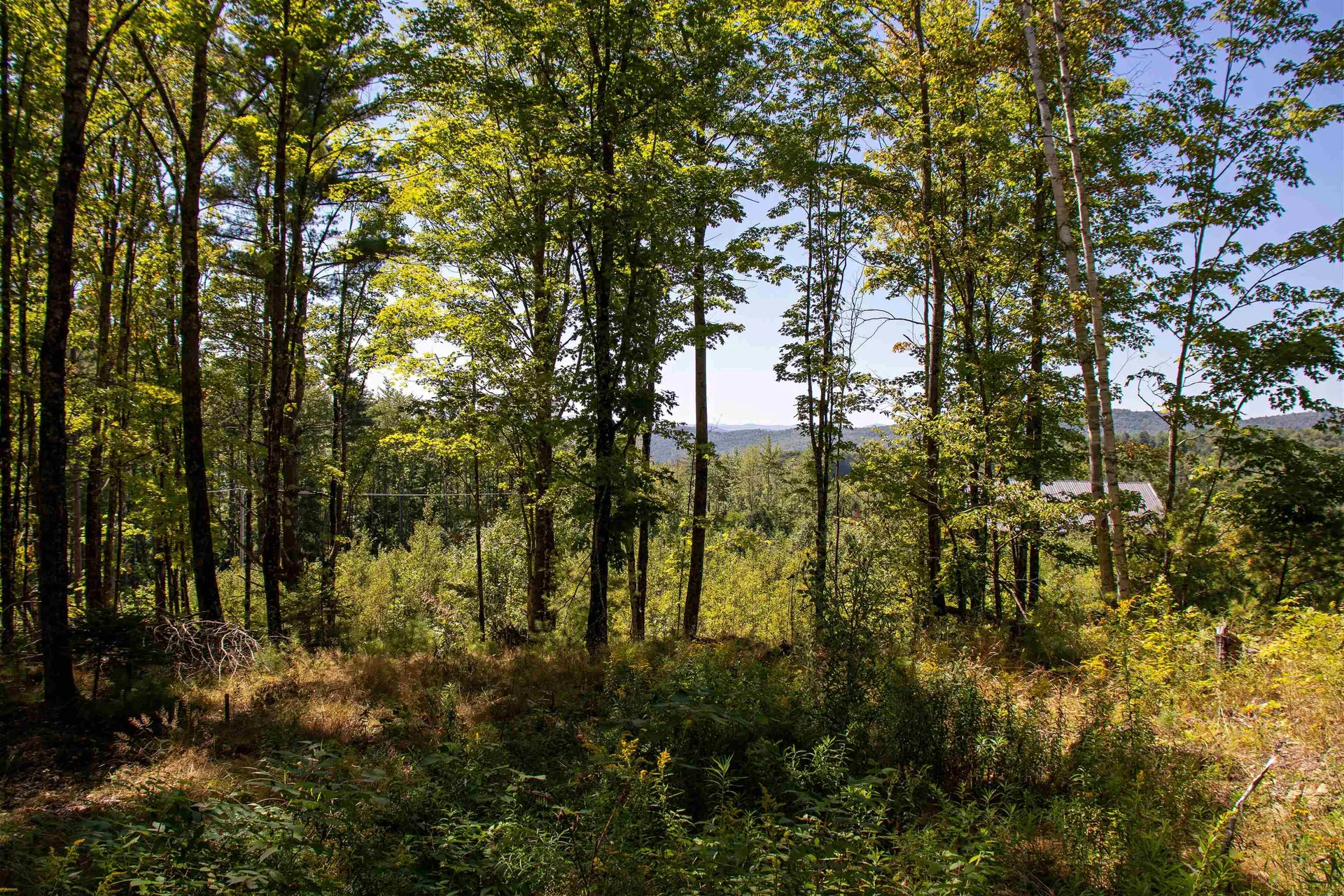 1201 Shadow Lake Road Waterford VT 05819