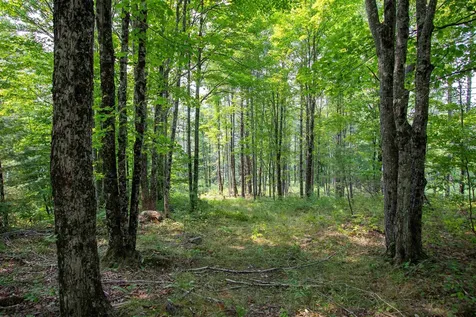 1201 Shadow Lake Road Waterford VT 05819