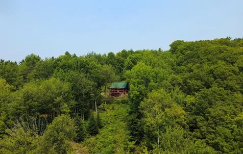 1201 Shadow Lake Road Waterford VT 05819