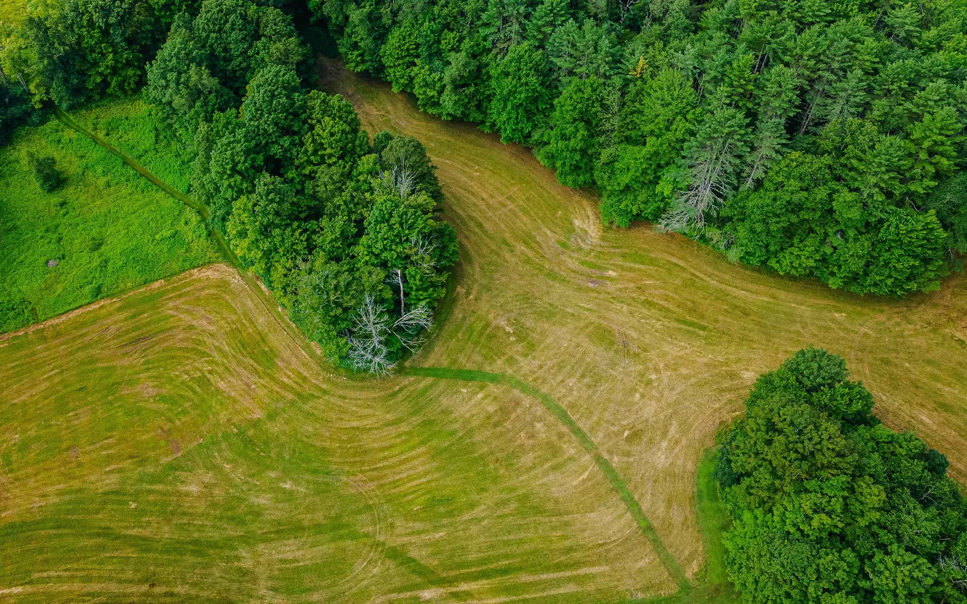 53 Hickory Ridge Road South Putney VT 05346