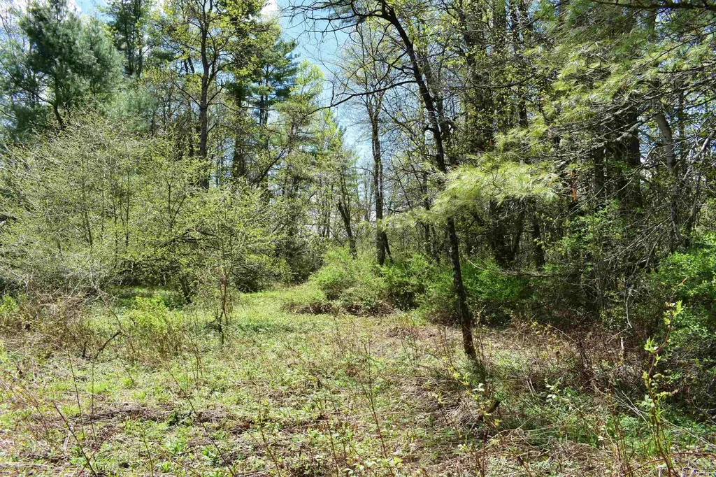 1850 Stock Farm Road Randolph VT 05060