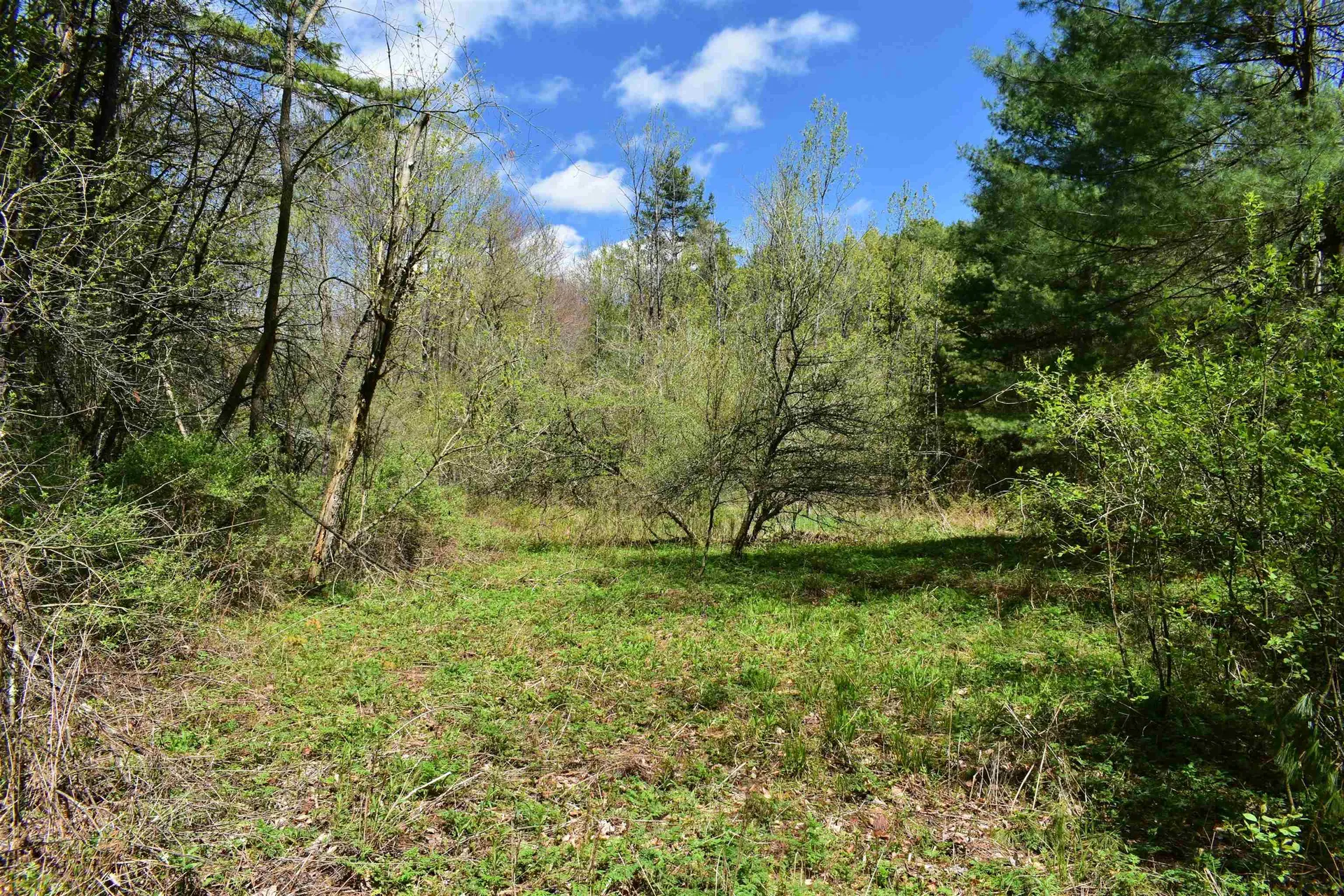 1850 Stock Farm Road Randolph VT 05060