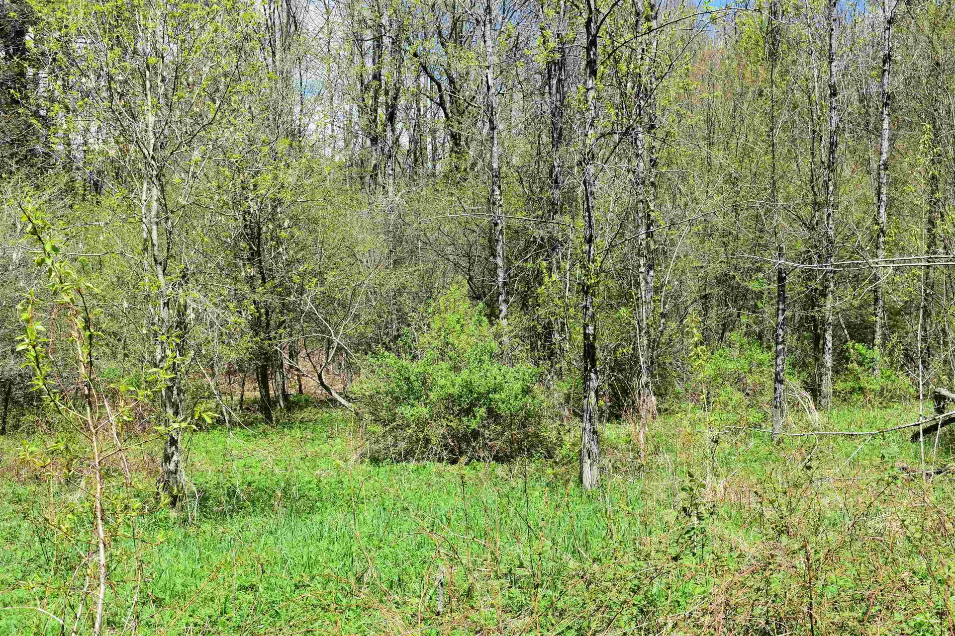1850 Stock Farm Road Randolph VT 05060