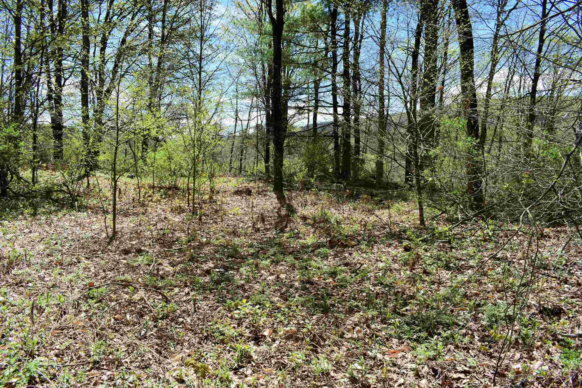1850 Stock Farm Road Randolph VT 05060