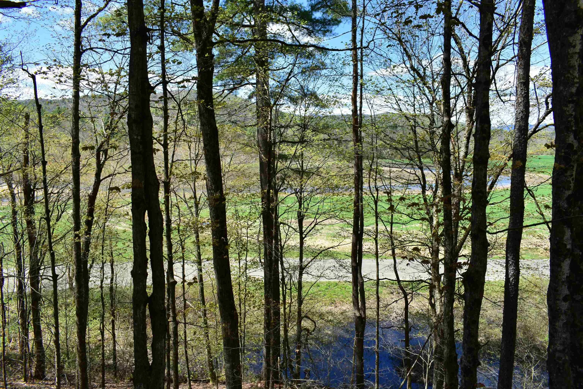 1850 Stock Farm Road Randolph VT 05060