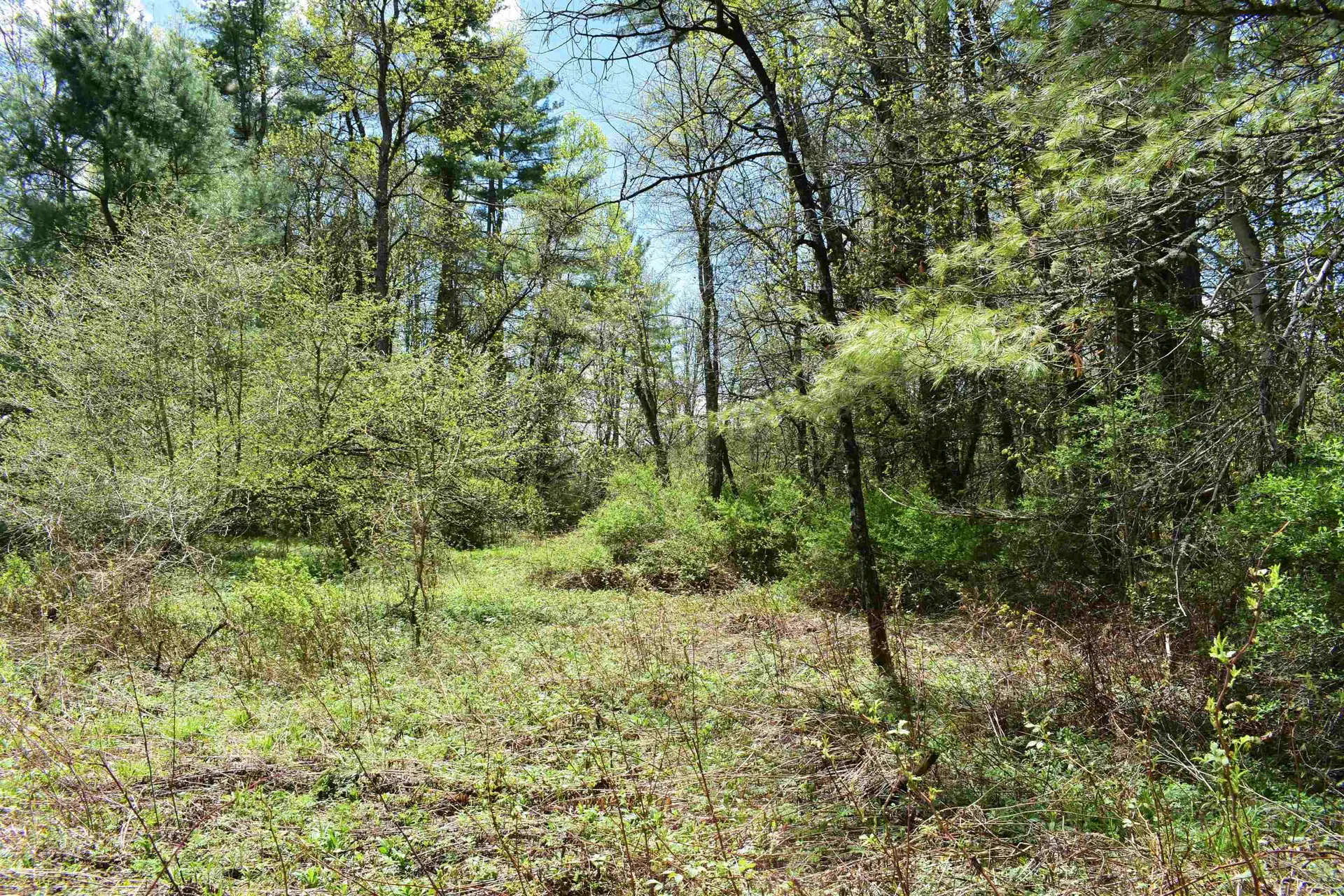1850 Stock Farm Road Randolph VT 05060