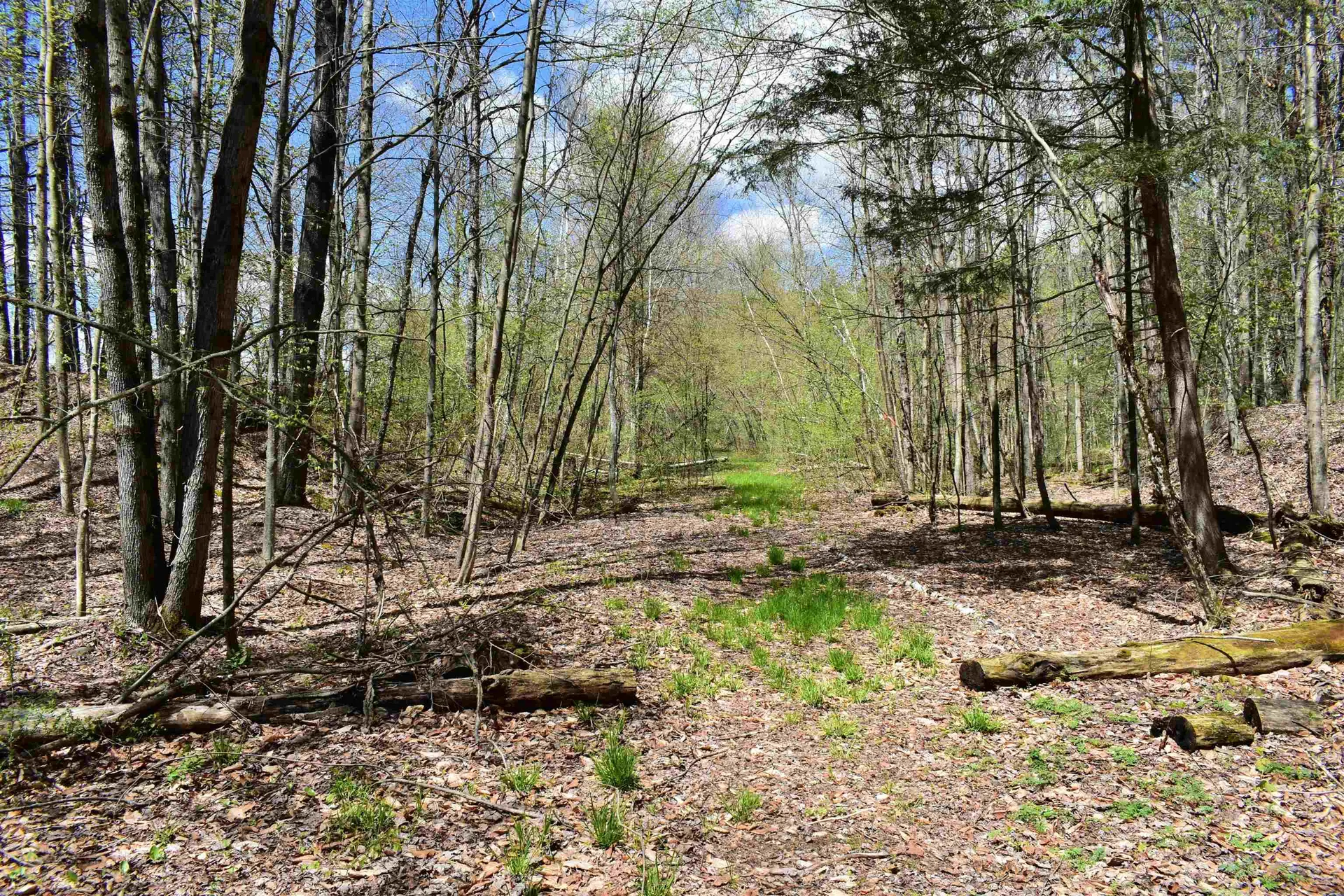 1850 Stock Farm Road Randolph VT 05060
