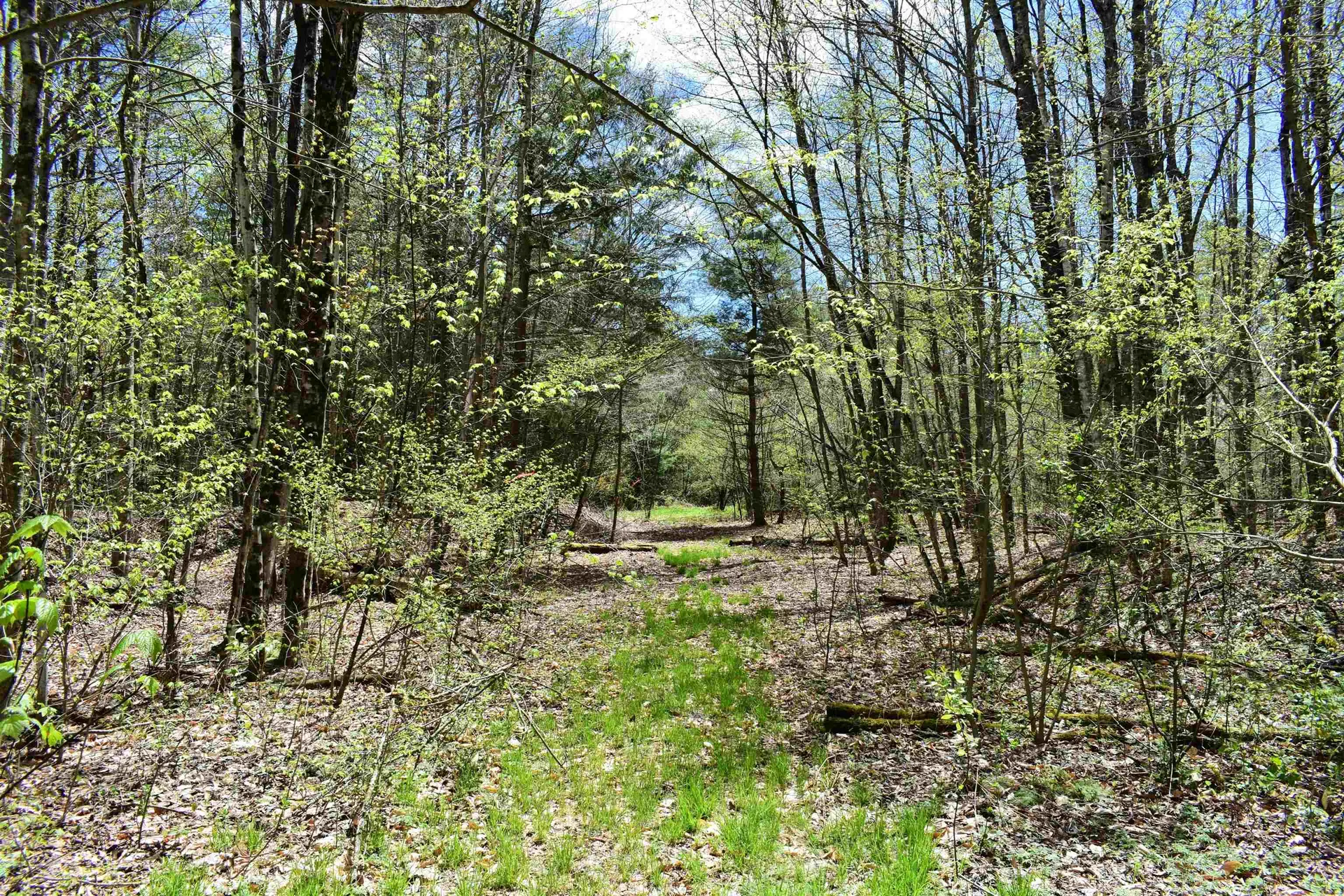 1850 Stock Farm Road Randolph VT 05060