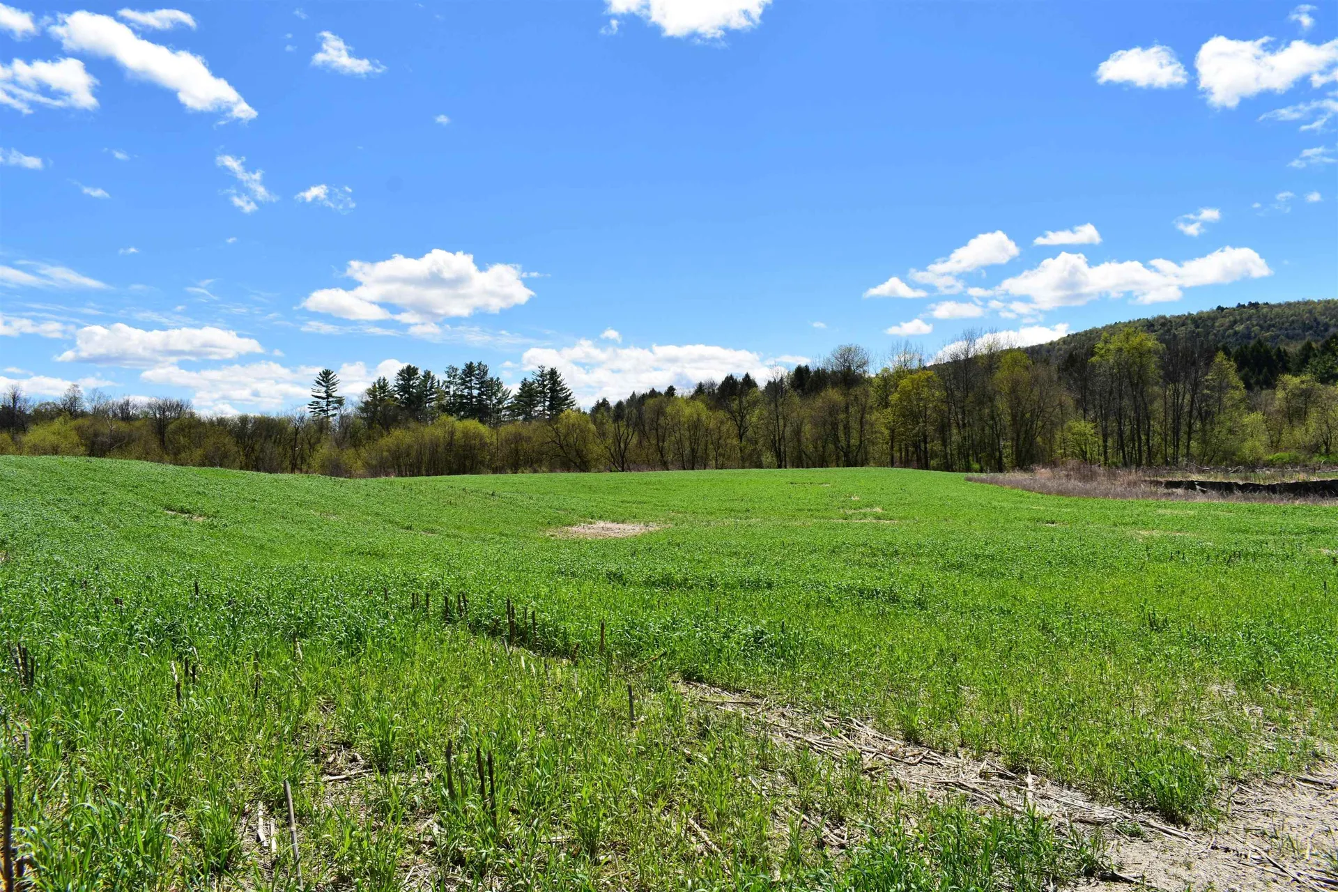 1850 Stock Farm Road Randolph VT 05060