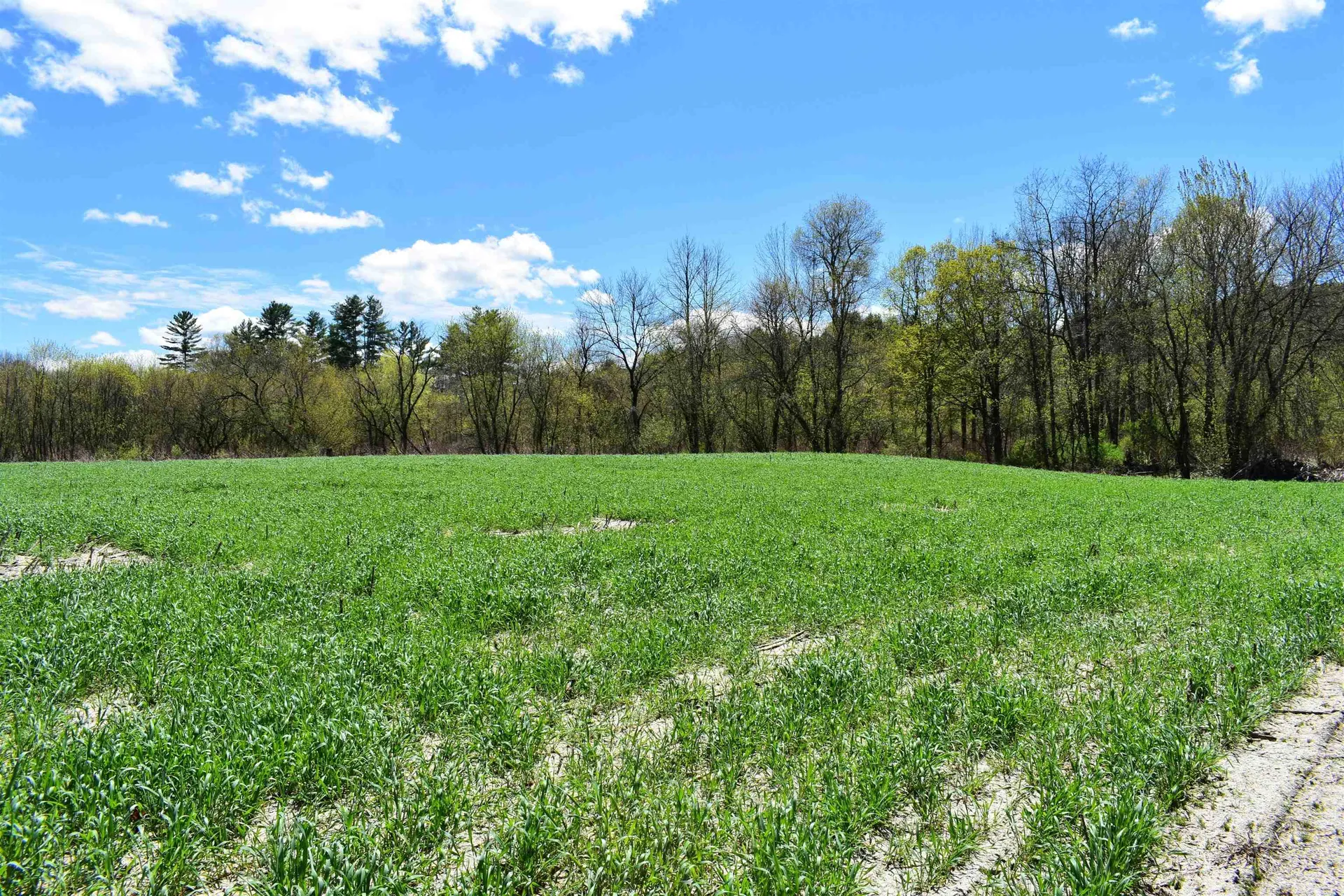 1850 Stock Farm Road Randolph VT 05060