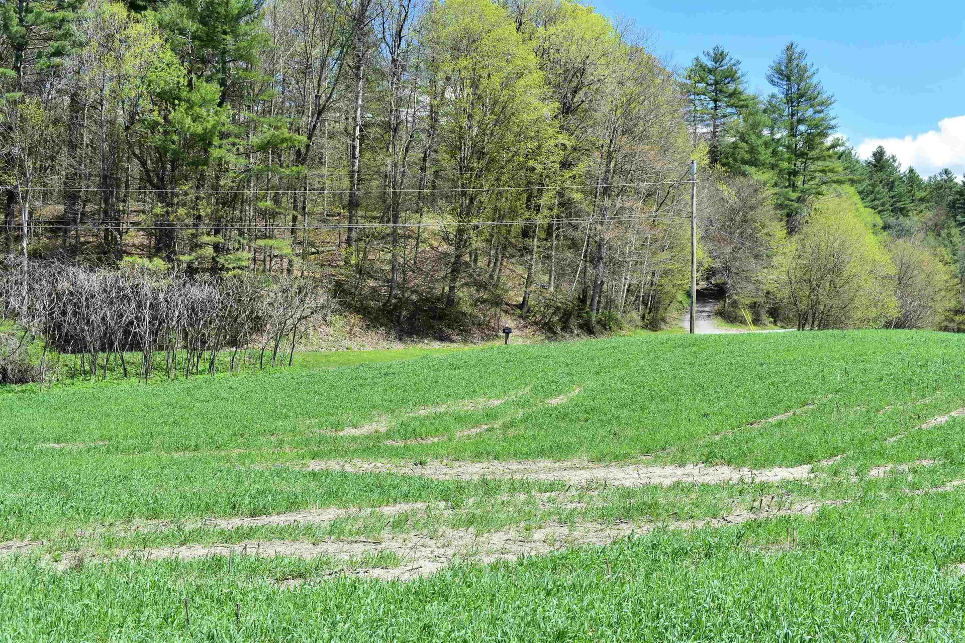 1850 Stock Farm Road Randolph VT 05060