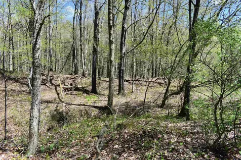 1850 Stock Farm Road Randolph VT 05060