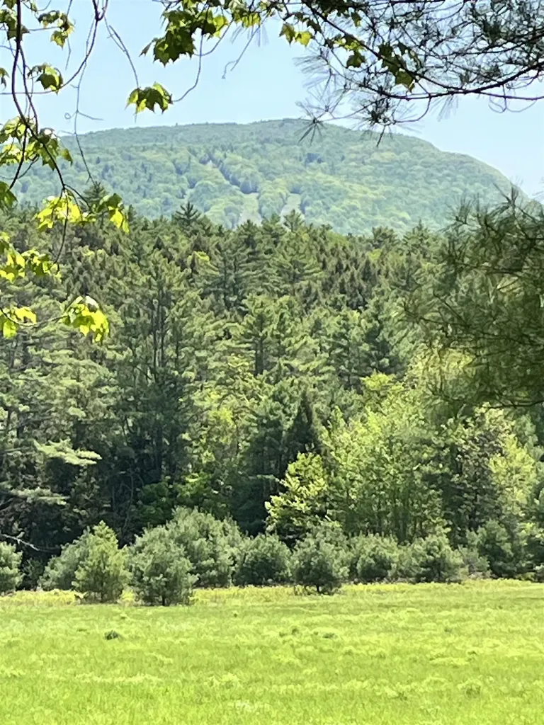 44 Franklin Hill Road Lyme NH 03768