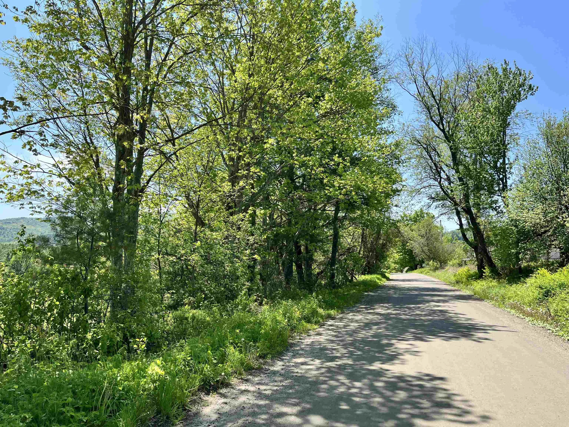 44 Franklin Hill Road Lyme NH 03768