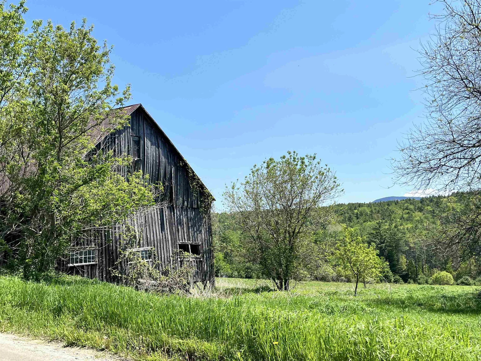 44 Franklin Hill Road Lyme NH 03768