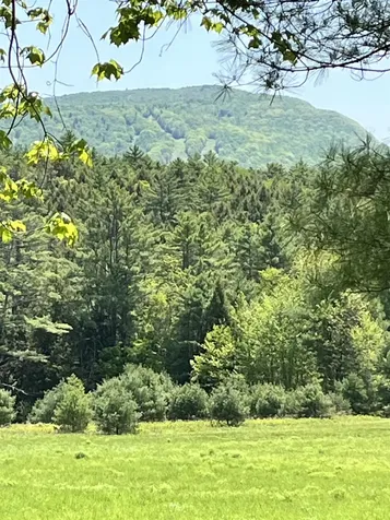 44 Franklin Hill Road Lyme NH 03768