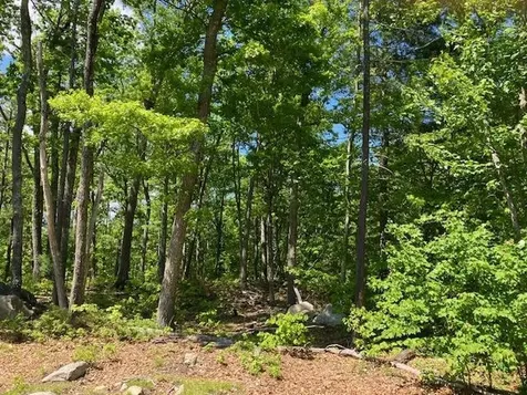 11 Lantern Lane Londonderry NH 03053