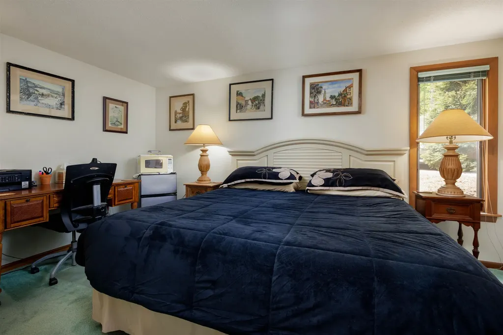 841 Cove Drive Grantham NH 03753